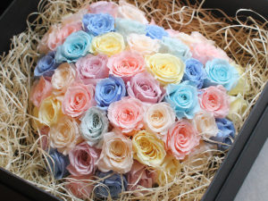 Pastel Heart