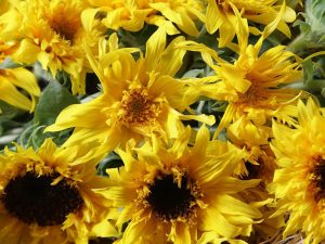 Sunflower Box Bouquet